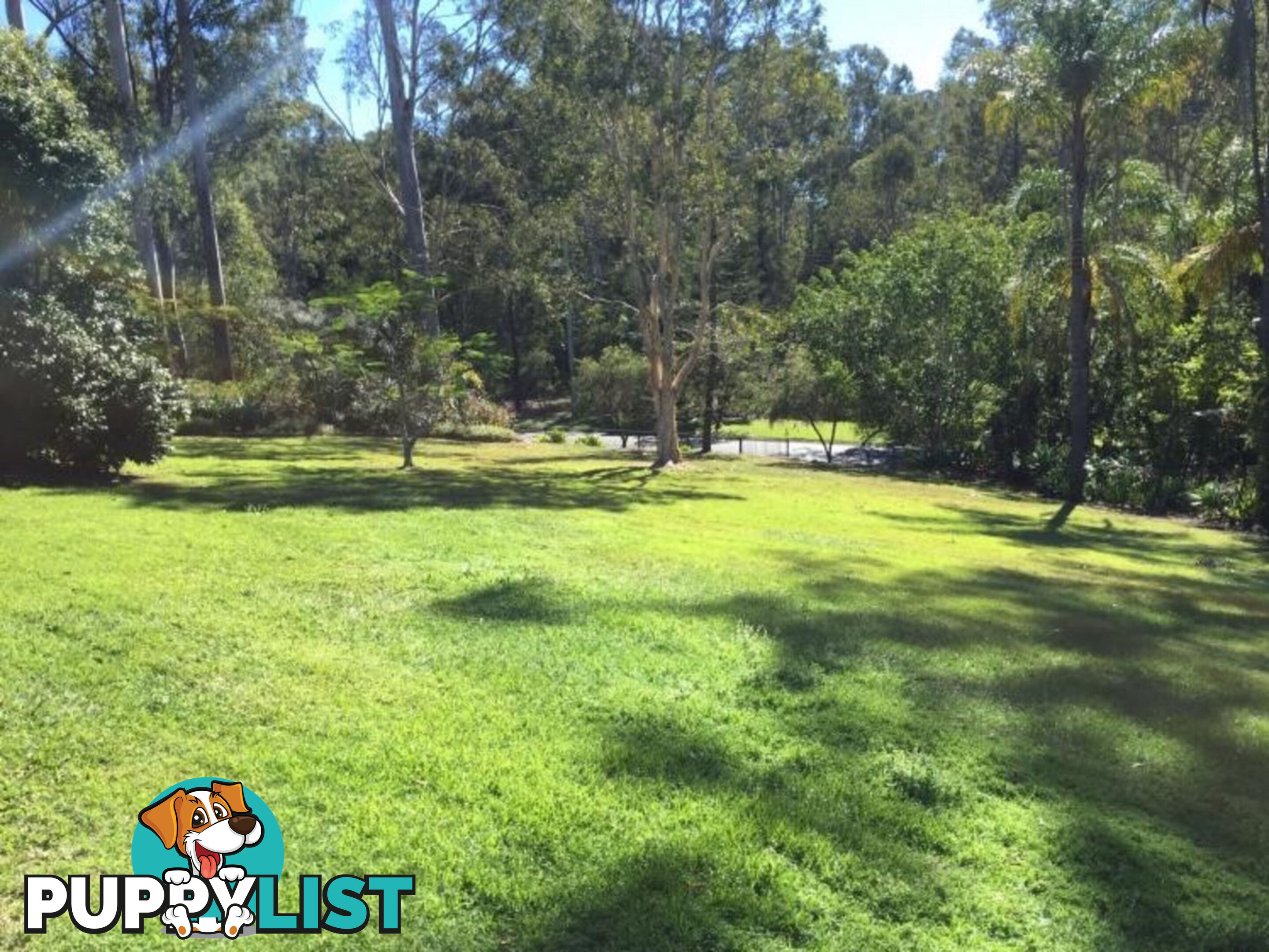 27 Montego Court EATONS HILL QLD 4037