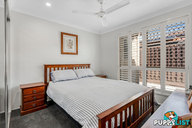 14 Melicope Place CARSELDINE QLD 4034