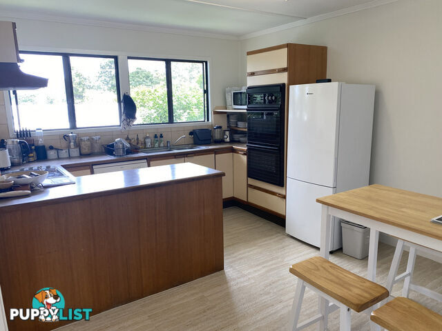 4 Brewster Street STAFFORD HEIGHTS QLD 4053