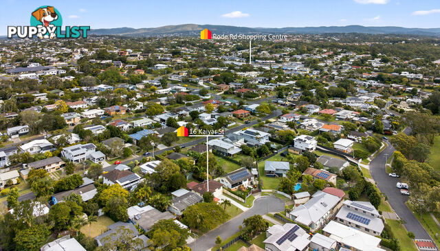 16 Kaiyar Street CHERMSIDE WEST QLD 4032