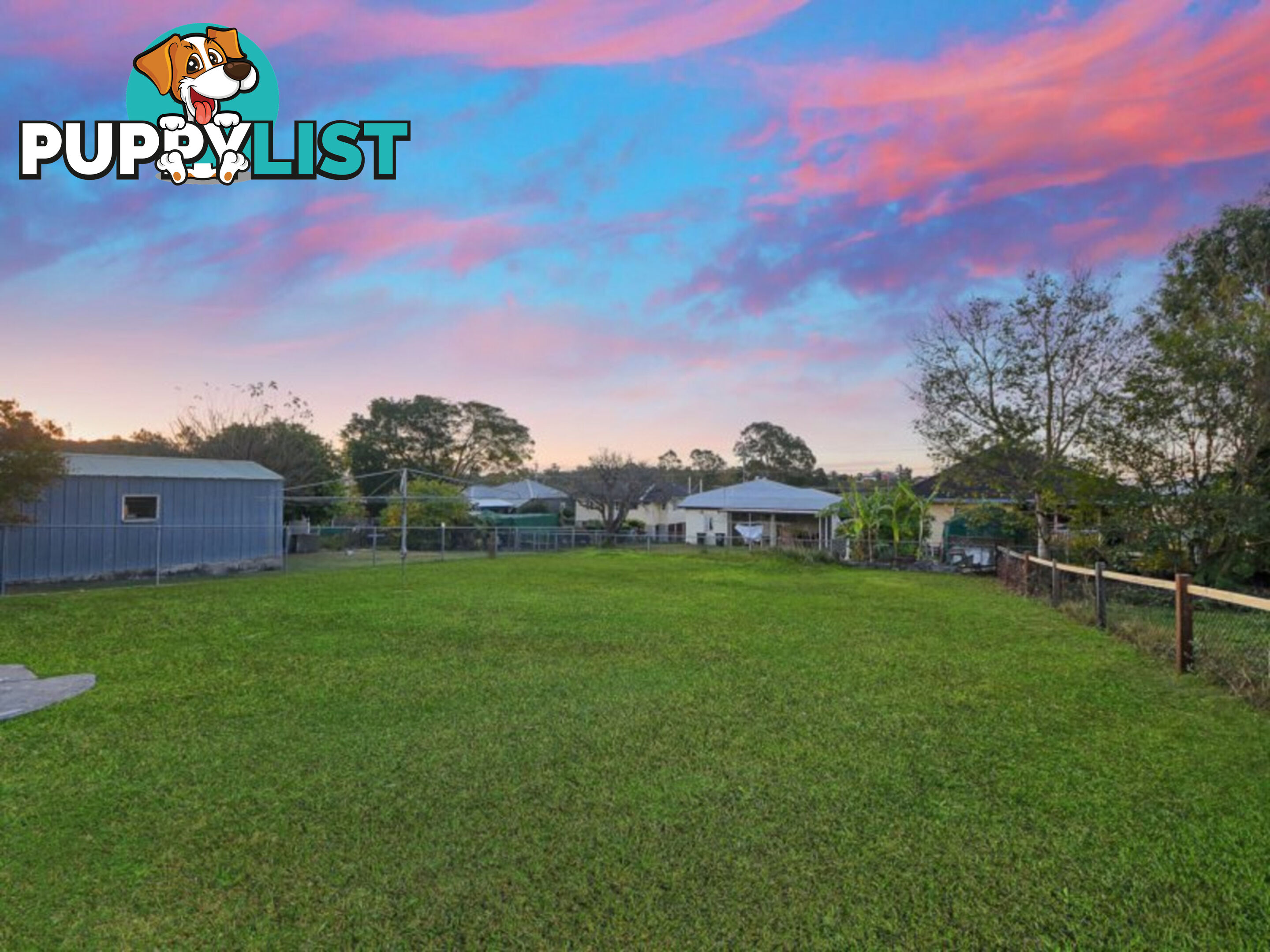51 Basnett Street CHERMSIDE WEST QLD 4032
