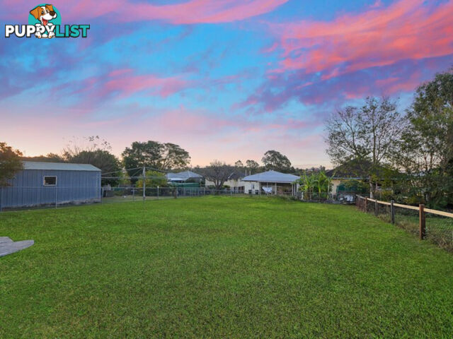 51 Basnett Street CHERMSIDE WEST QLD 4032