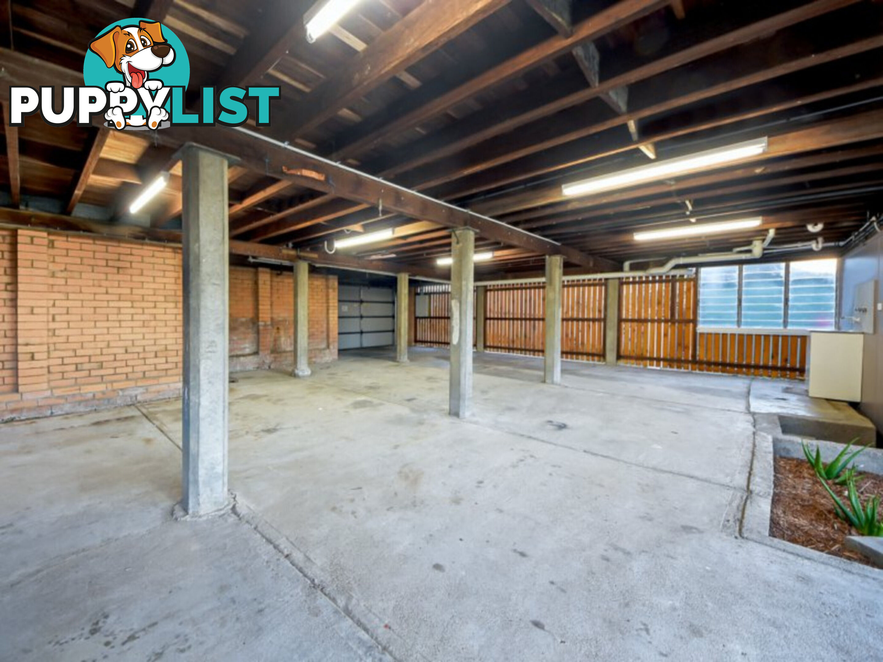 51 Basnett Street CHERMSIDE WEST QLD 4032