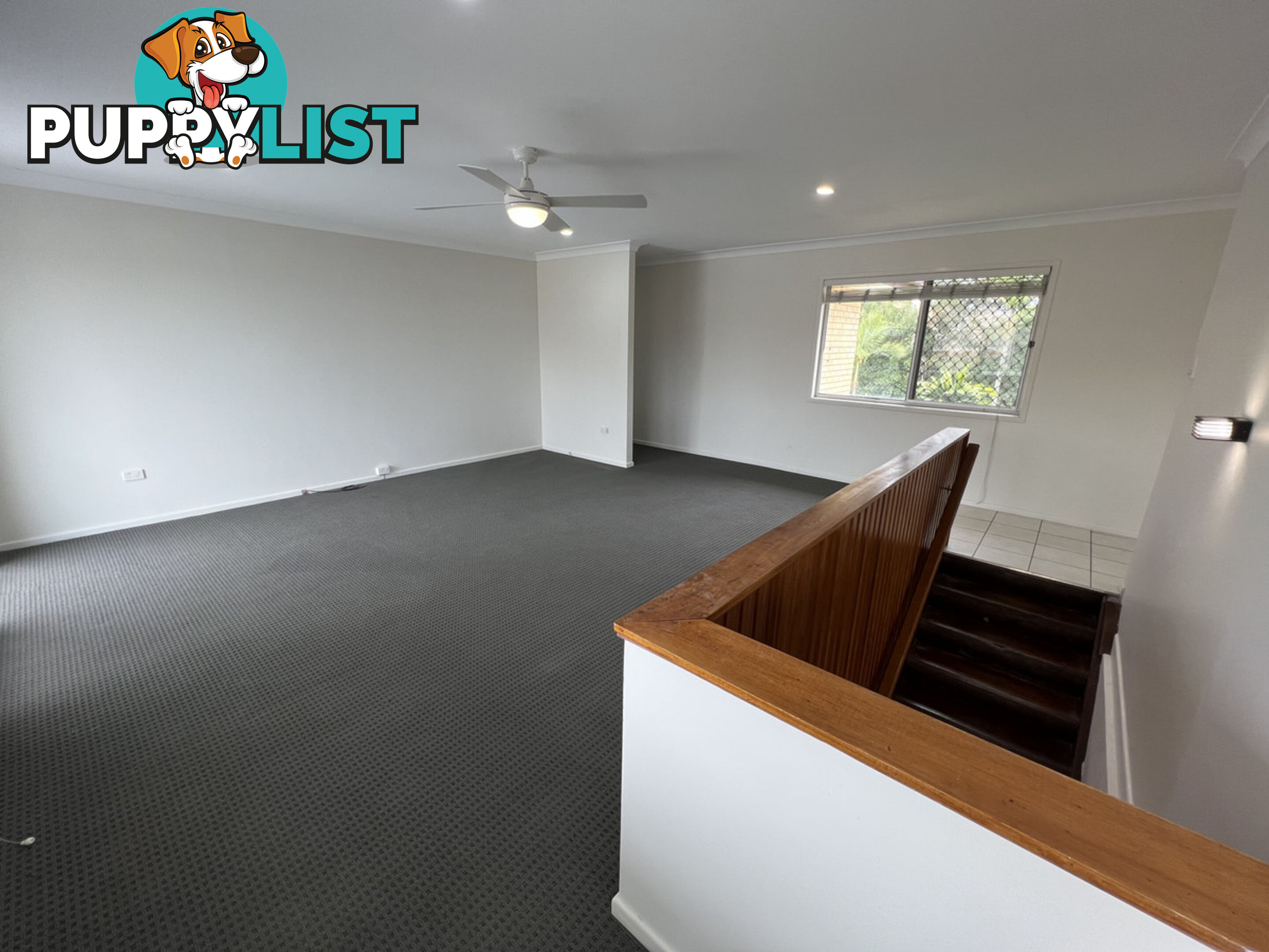 28 Safari Street CHERMSIDE WEST QLD 4032