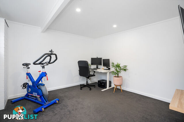 5 Waitara Street CHERMSIDE WEST QLD 4032