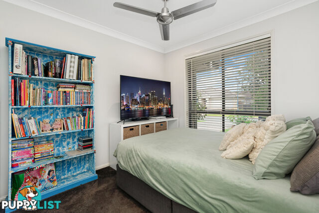 20 Leopardtree Drive UPPER CABOOLTURE QLD 4510