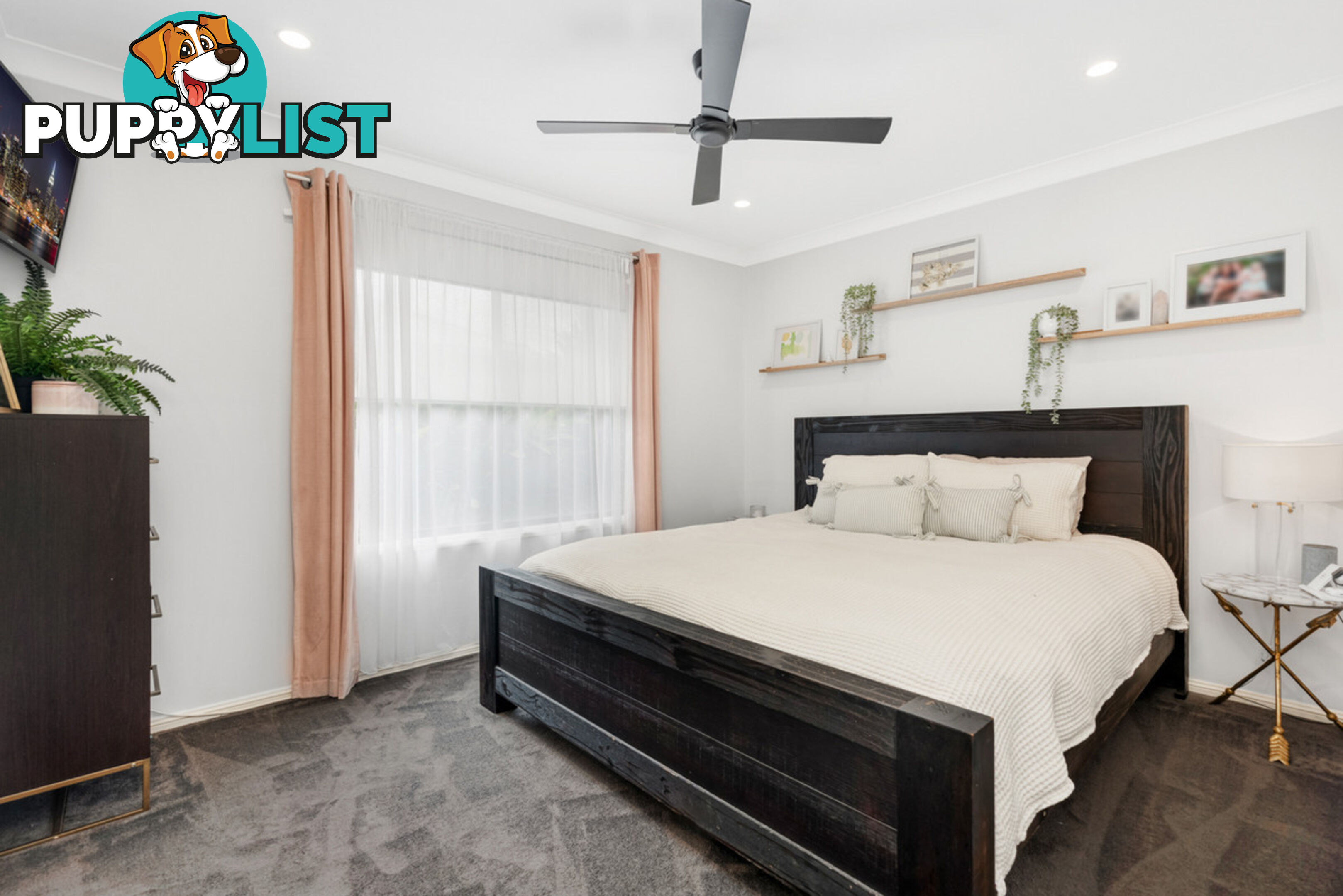20 Leopardtree Drive UPPER CABOOLTURE QLD 4510