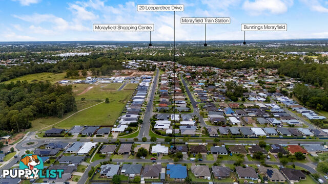 20 Leopardtree Drive UPPER CABOOLTURE QLD 4510