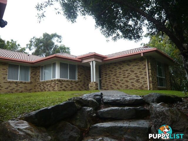 41 Narrabeen Road ALBANY CREEK QLD 4035