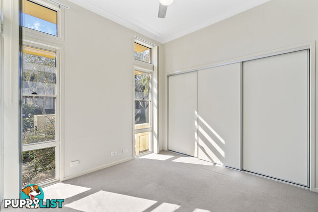 13 Conimbla Street FITZGIBBON QLD 4018