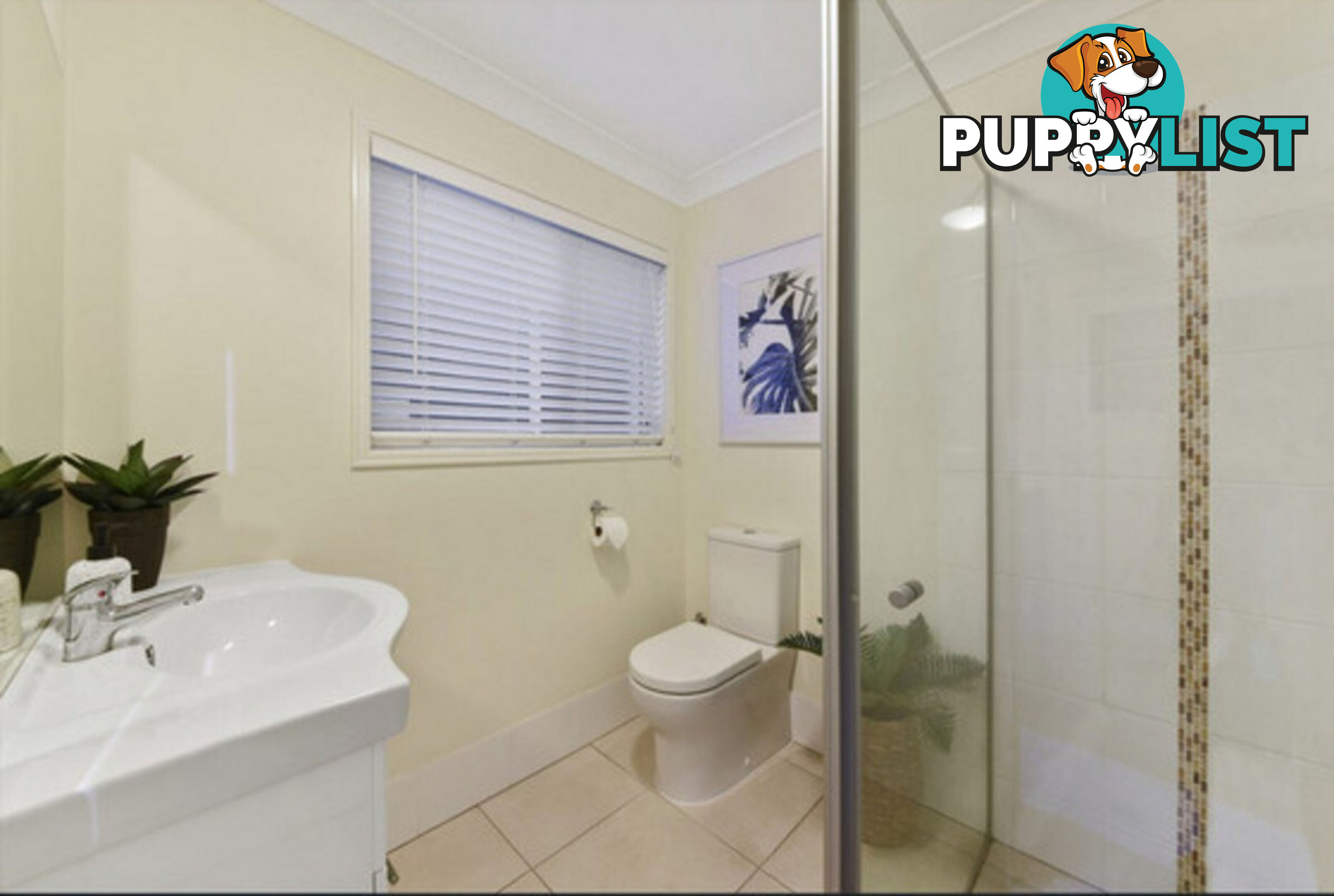 24 Aspley Court ASPLEY QLD 4034