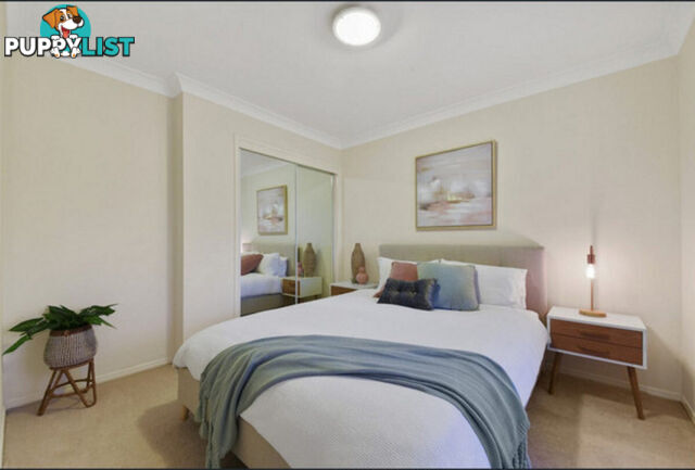 24 Aspley Court ASPLEY QLD 4034