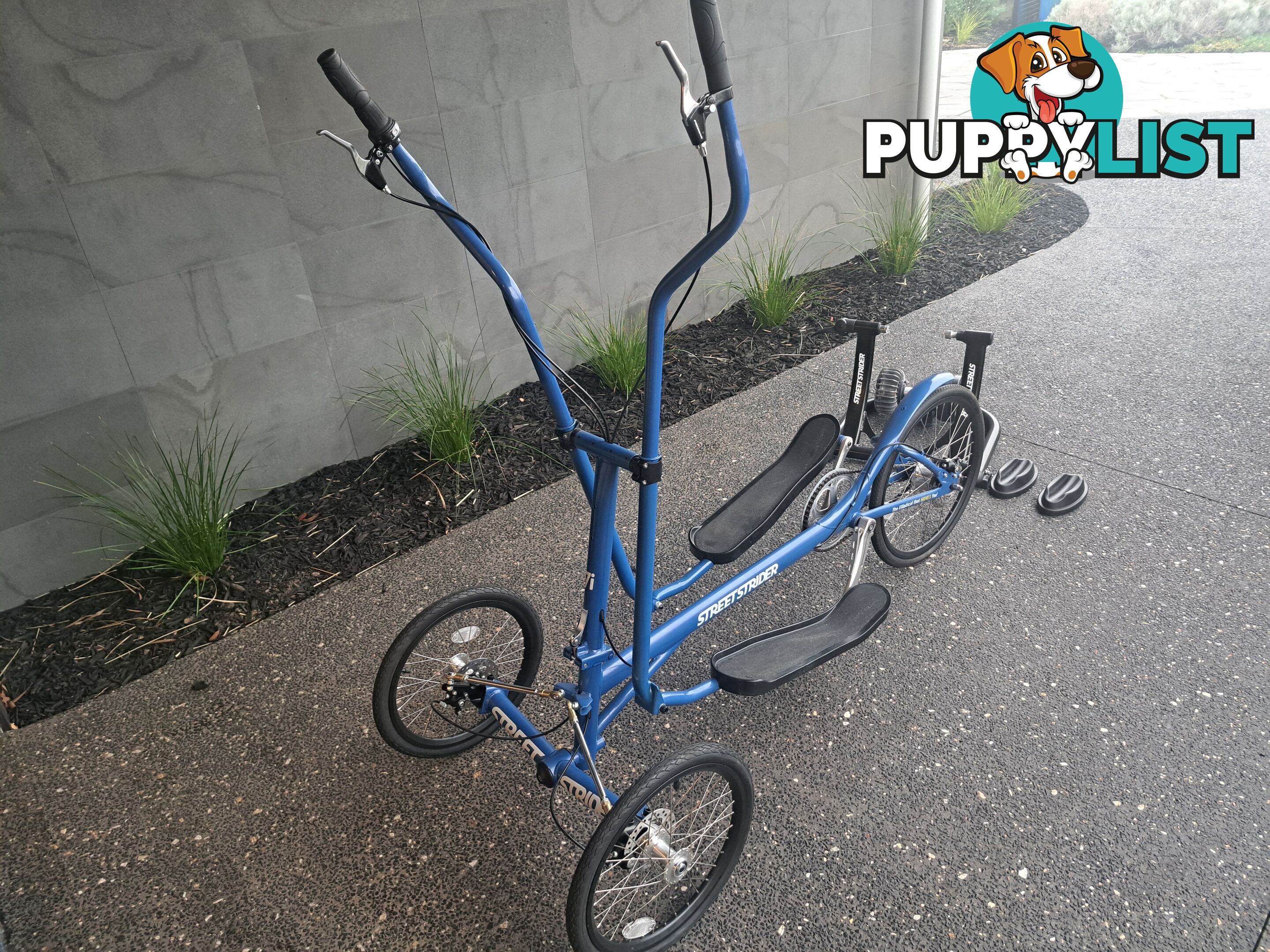 Street Strider Elliptical Bike - Indoor & Outdoor