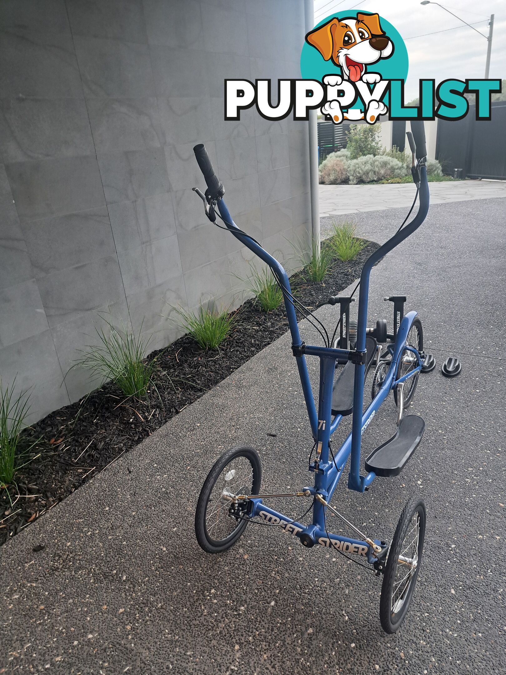 Street Strider Elliptical Bike - Indoor & Outdoor
