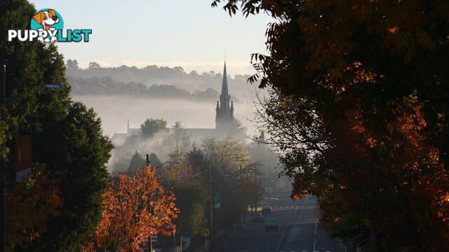 ARMIDALE NSW 2350