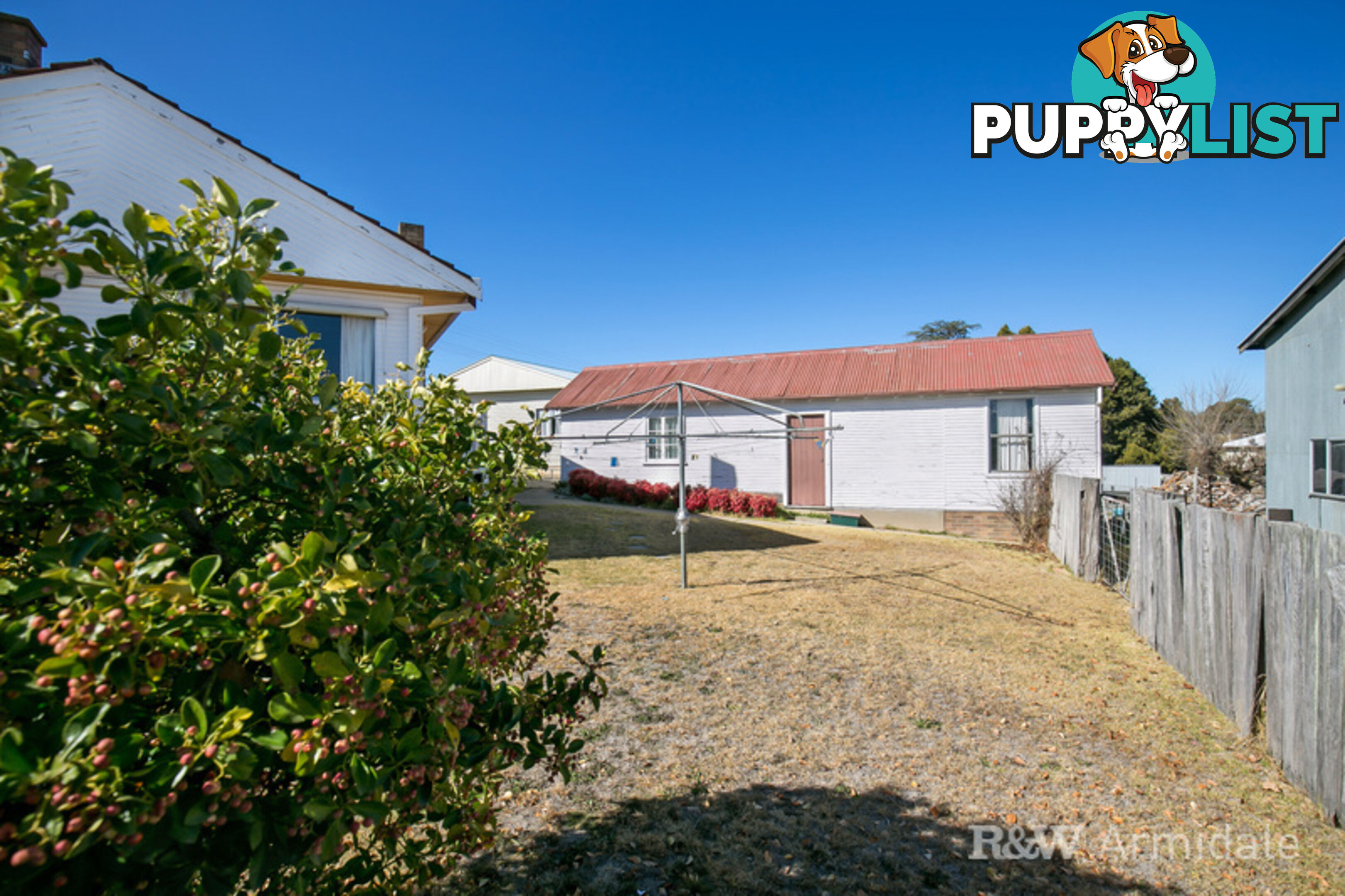 16 King Street URALLA NSW 2358