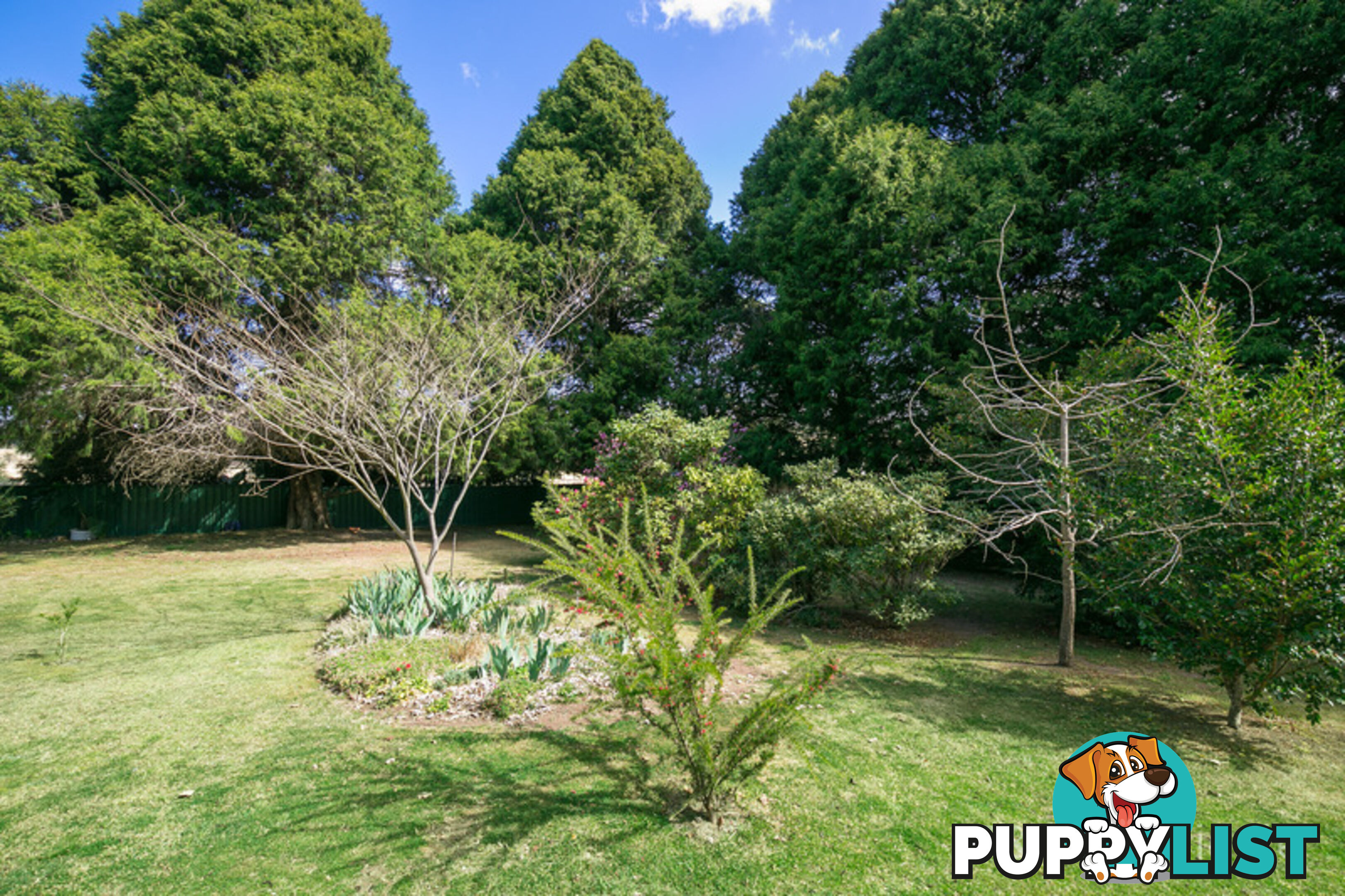 806 Black Mountain Road, Black Mountain ARMIDALE NSW 2350