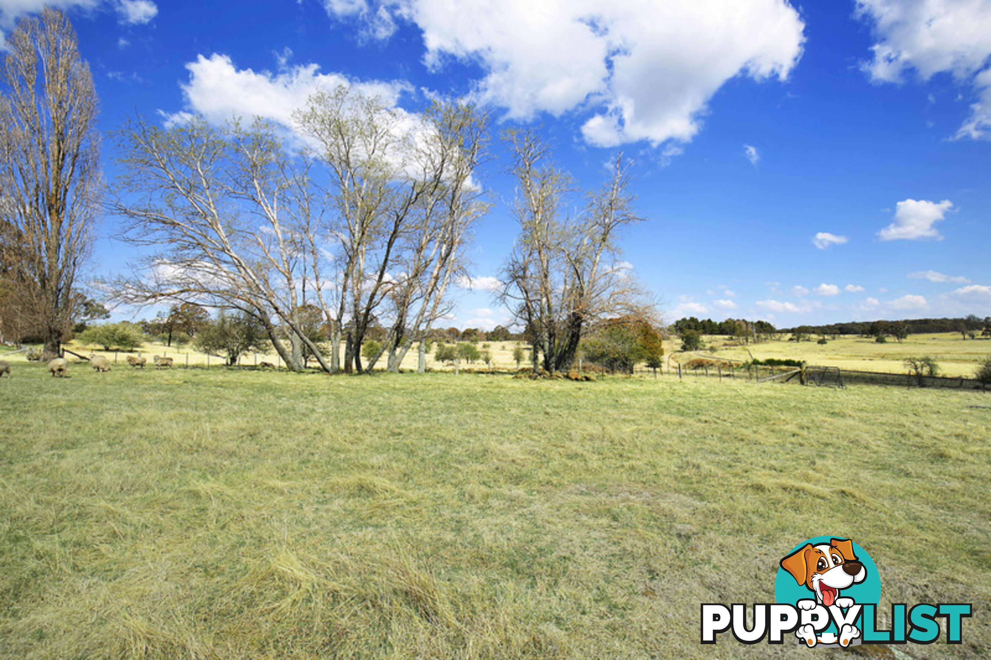 806 Black Mountain Road, Black Mountain ARMIDALE NSW 2350