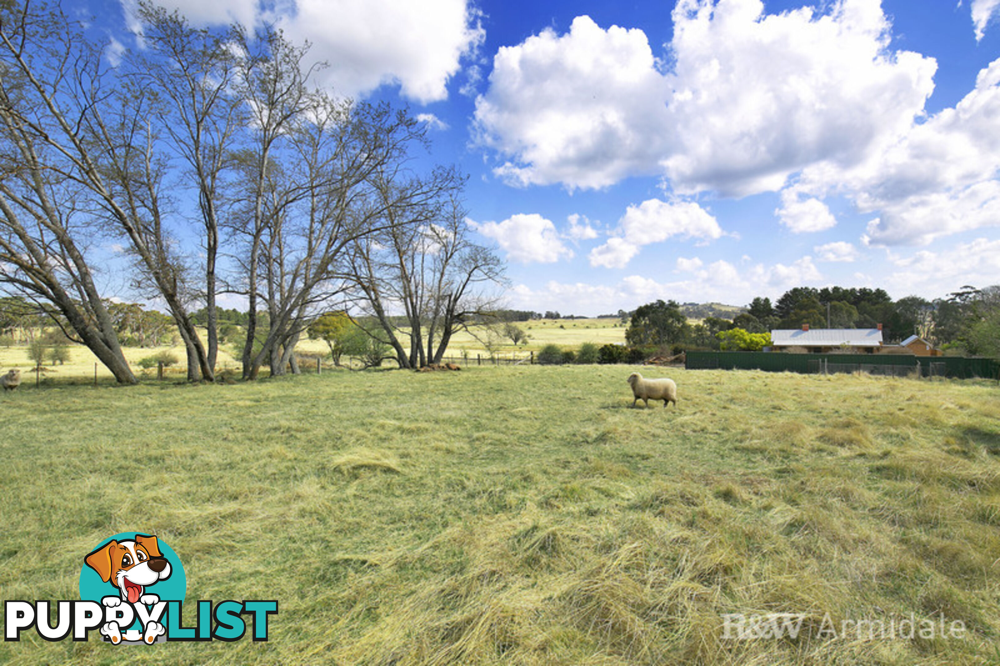 806 Black Mountain Road, Black Mountain ARMIDALE NSW 2350