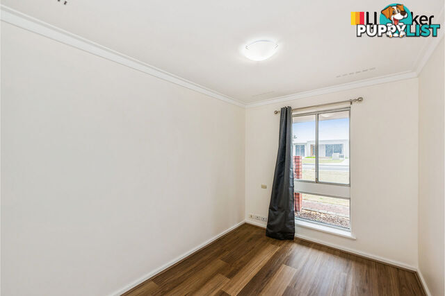 85 Campsbourne Street BALCATTA WA 6021