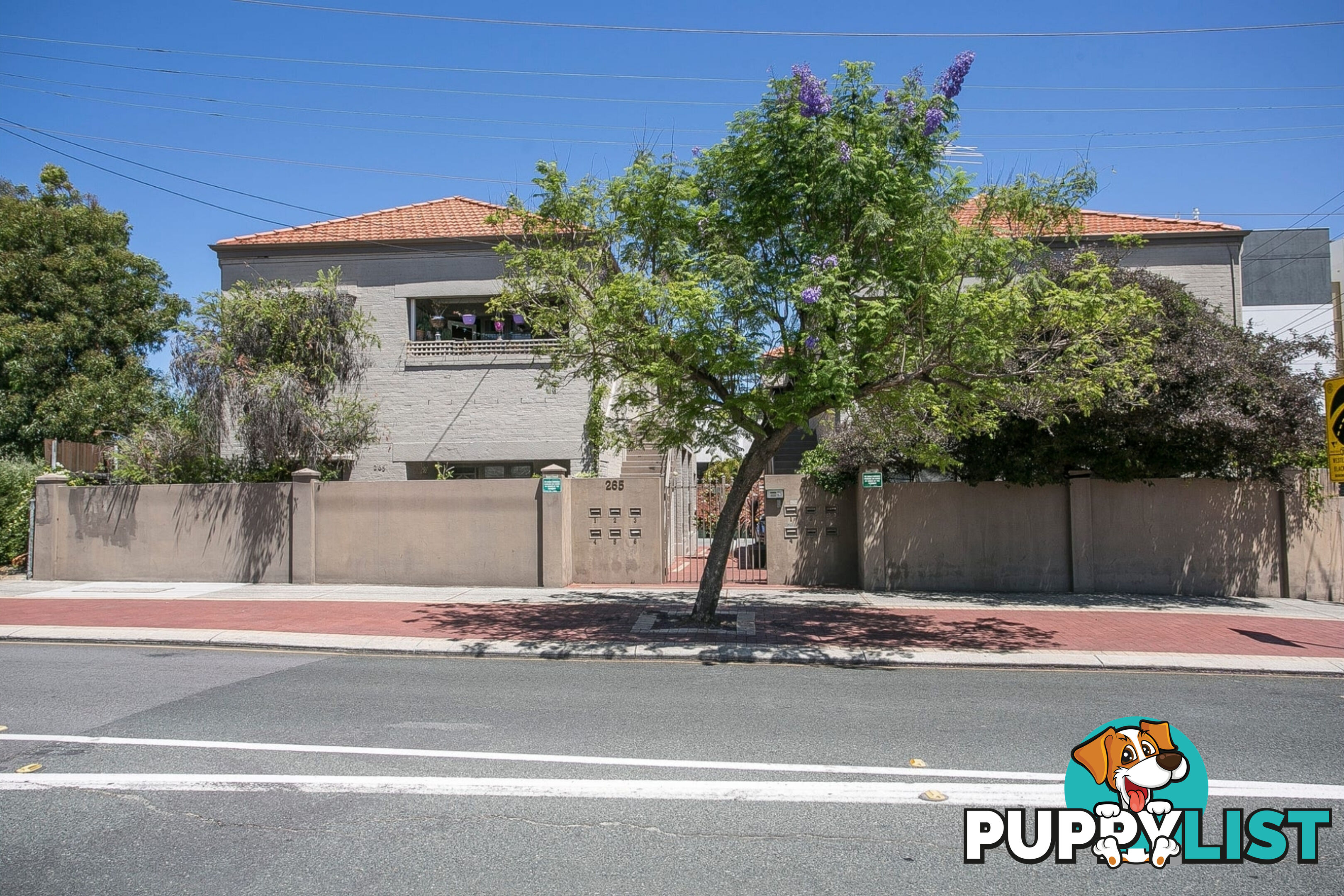5/265 Stirling Street PERTH WA 6000