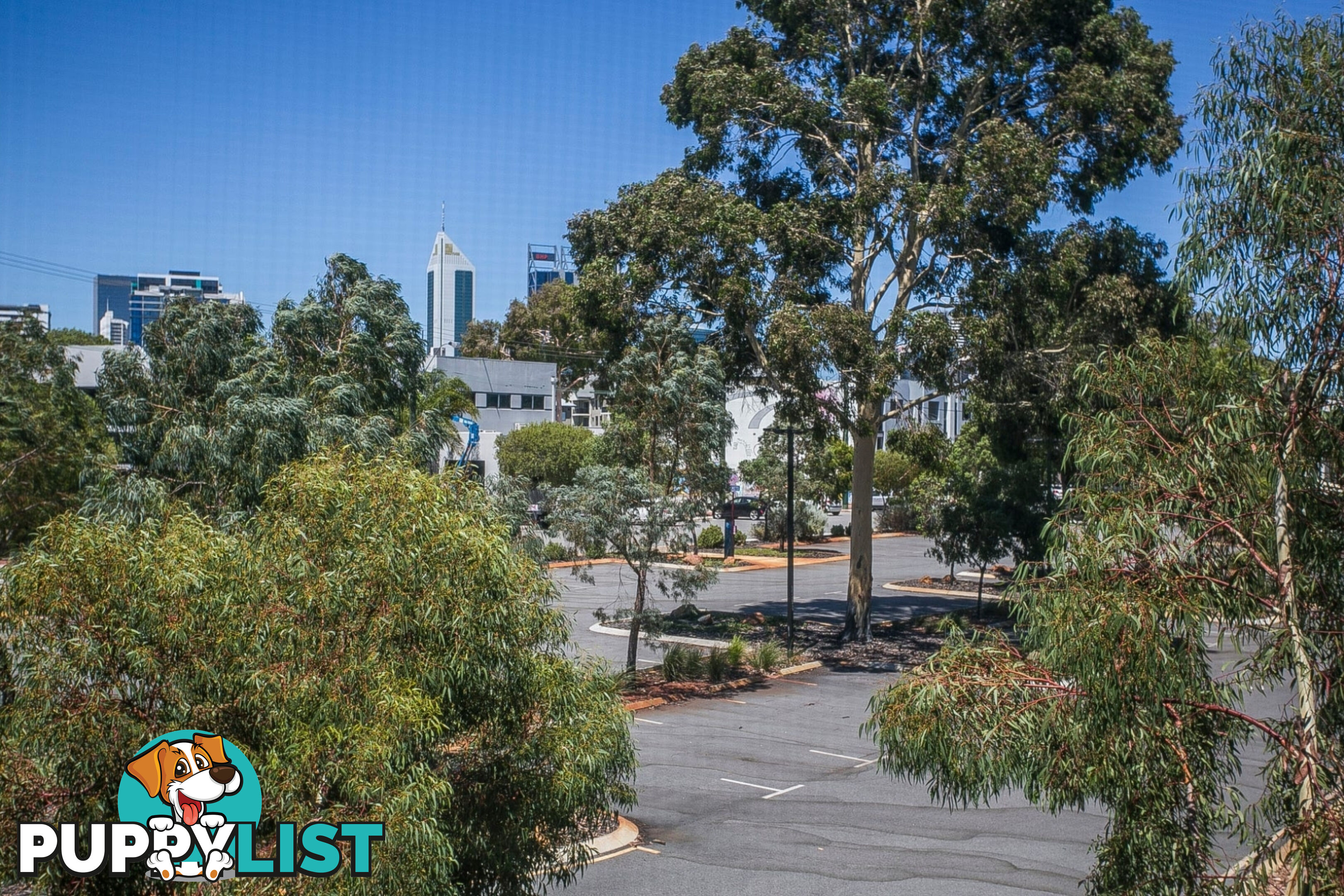 5/265 Stirling Street PERTH WA 6000