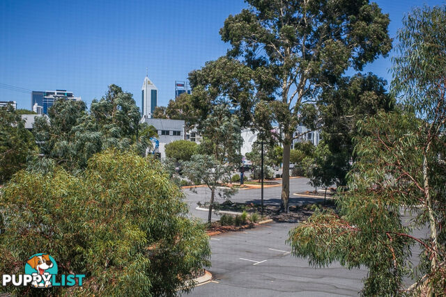 5/265 Stirling Street PERTH WA 6000