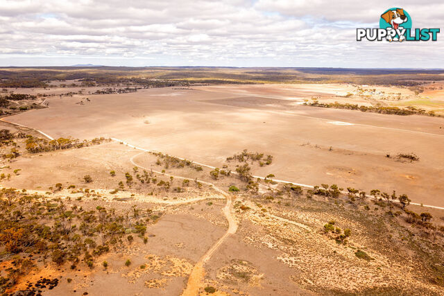 Lot 344/ Hopetoun-Ravensthorpe Road RAVENSTHORPE WA 6346