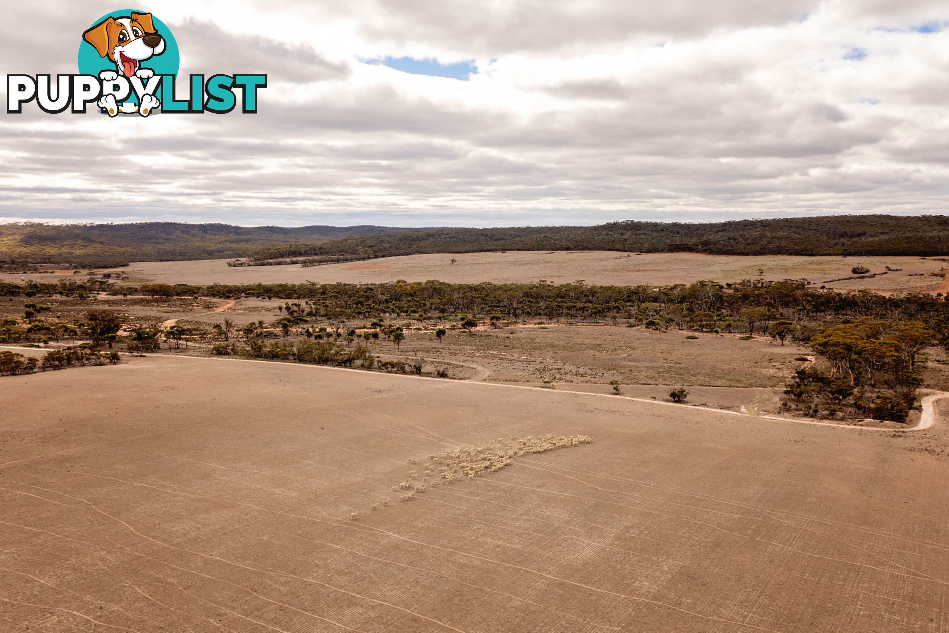 Lot 344/ Hopetoun-Ravensthorpe Road RAVENSTHORPE WA 6346