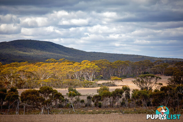 Lot 344/ Hopetoun-Ravensthorpe Road RAVENSTHORPE WA 6346