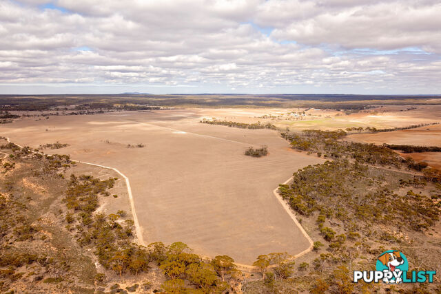 Lot 344/ Hopetoun-Ravensthorpe Road RAVENSTHORPE WA 6346