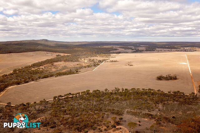 Lot 344/ Hopetoun-Ravensthorpe Road RAVENSTHORPE WA 6346