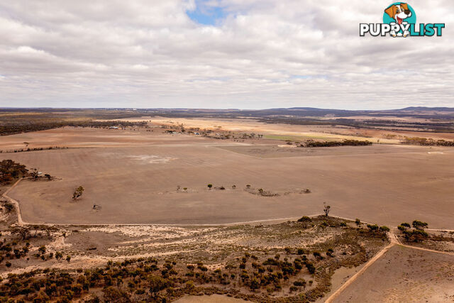 Lot 344/ Hopetoun-Ravensthorpe Road RAVENSTHORPE WA 6346