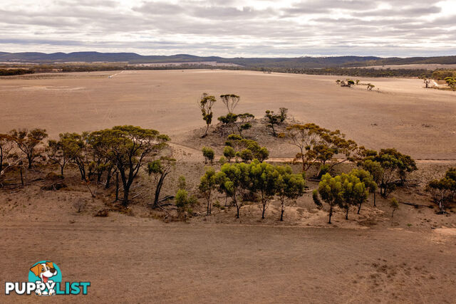 Lot 344/ Hopetoun-Ravensthorpe Road RAVENSTHORPE WA 6346