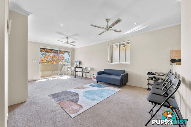 24/237 Cambridge Street WEMBLEY WA 6014