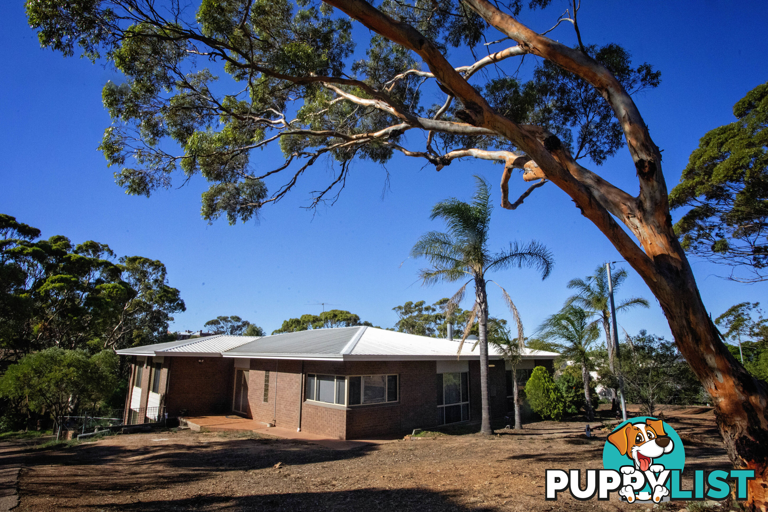 83 Martin Street RAVENSTHORPE WA 6346