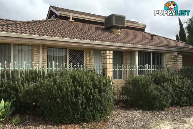 36 McGuigan Circle REDCLIFFE WA 6104