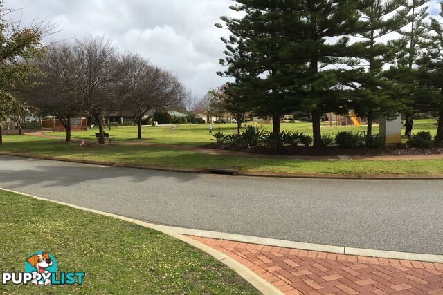 36 McGuigan Circle REDCLIFFE WA 6104