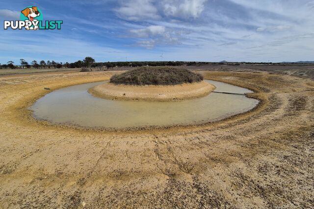 98 Steeredale Road HOPETOUN WA 6348