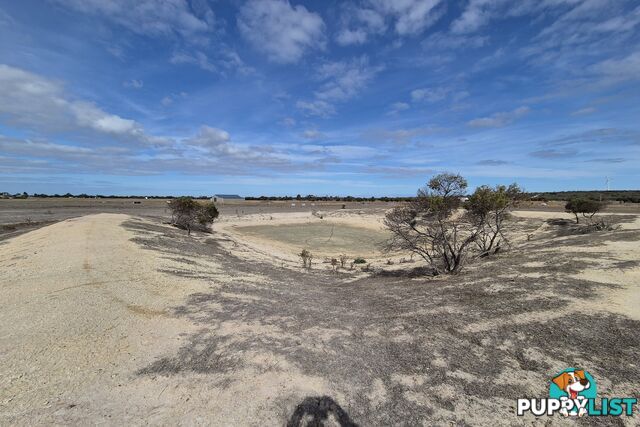 98 Steeredale Road HOPETOUN WA 6348