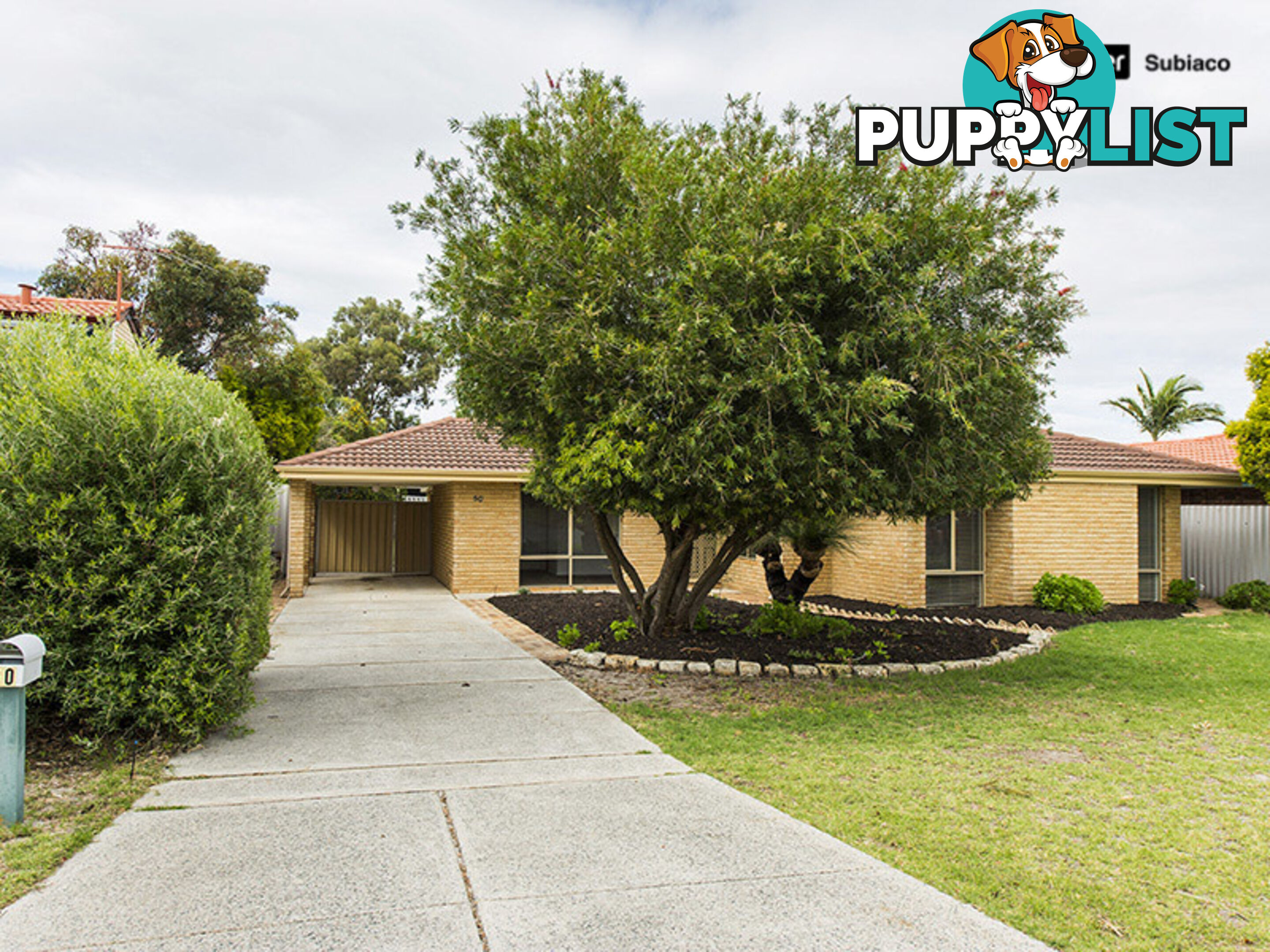 50 Chesterton Road BASSENDEAN WA 6054