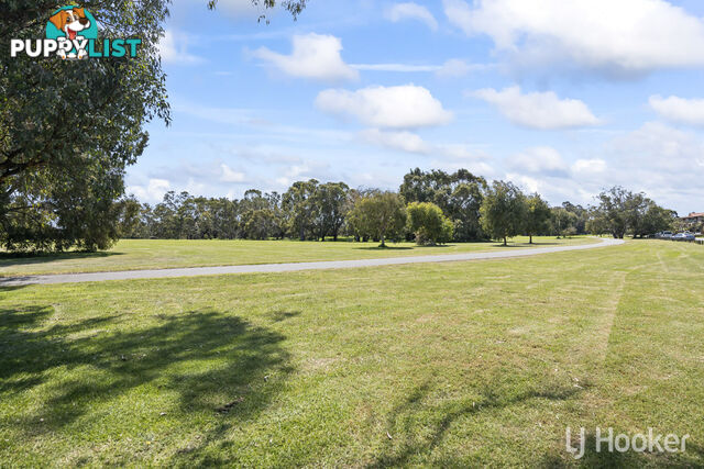 33B/49 Herdsman Parade WEMBLEY WA 6014