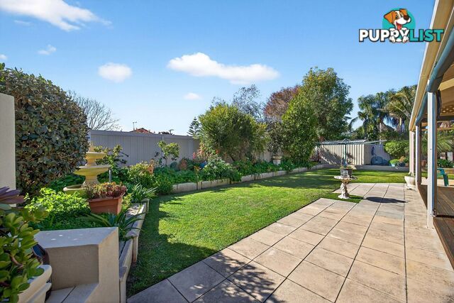 17 Mudalla Place WANNEROO WA 6065