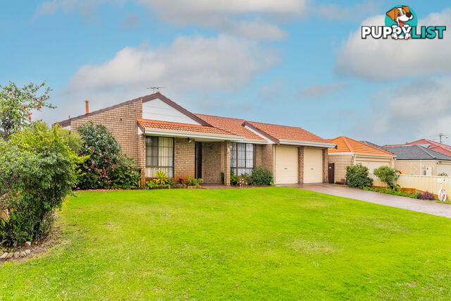 8 Chaffers Street MORLEY WA 6062