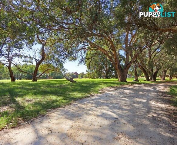 34f/47 Herdsman Parade WEMBLEY WA 6014