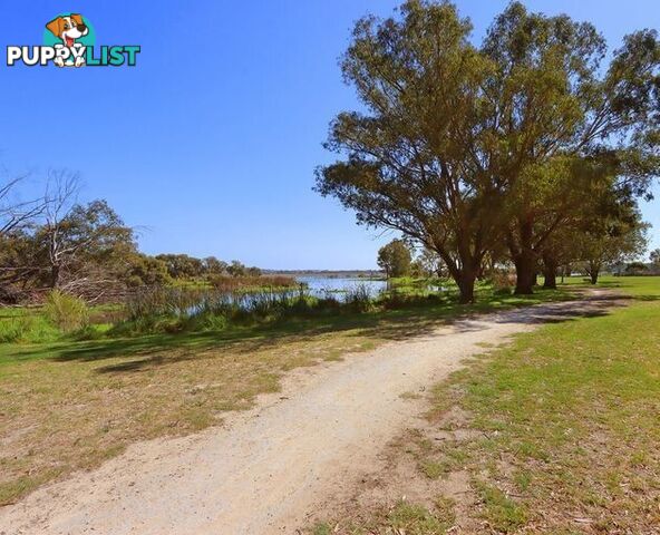 34f/47 Herdsman Parade WEMBLEY WA 6014