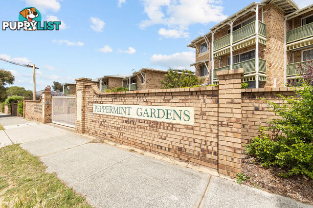 11/7 Vincent Street MOUNT LAWLEY WA 6050