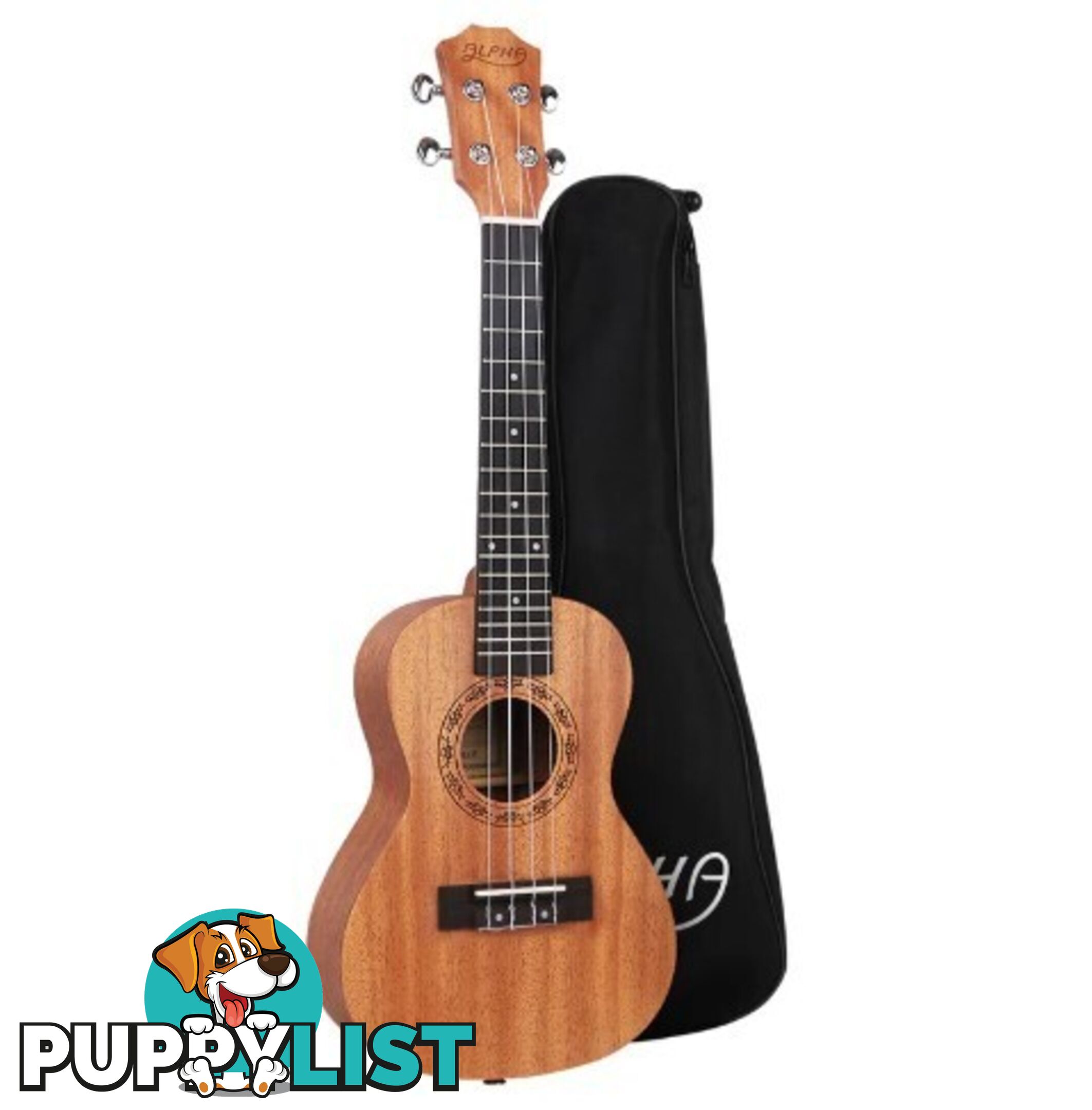 New Guitars, Ukuleles and Piano Keyboards