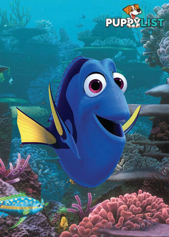 Remembering What's Important: A 'Finding Dory' Study Guide