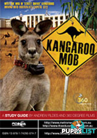 Kangaroo Mob ( Study Guide)